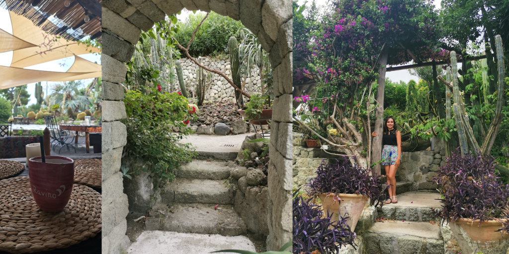 Giardini Ravino, Forio, Ischia island, Italy (cactus garden)