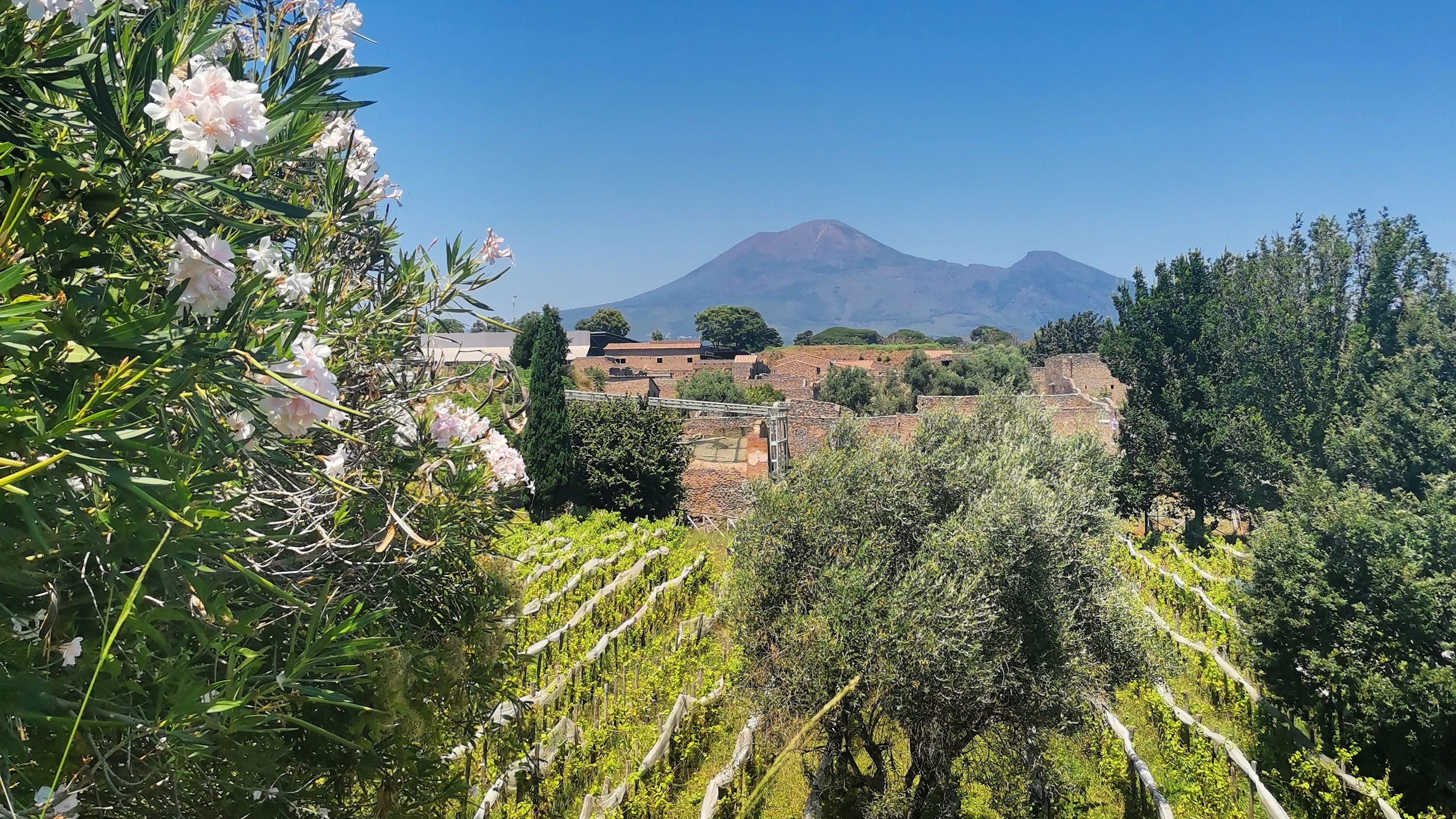 View on the Vesuvius from Pompeii Archeological Site in Italy