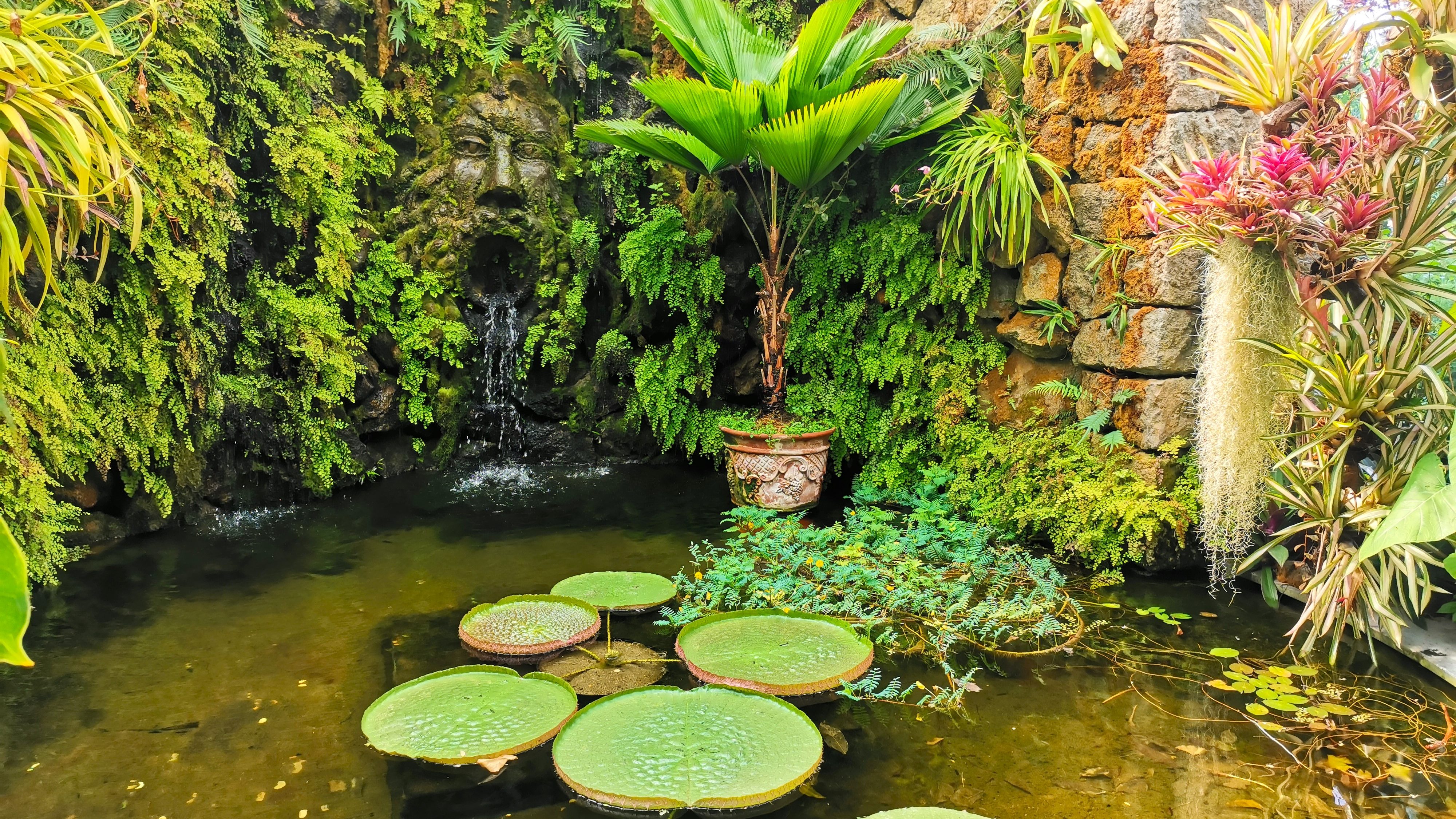 Giardini La Mortella (botanical garden) in Ischia island, Italy