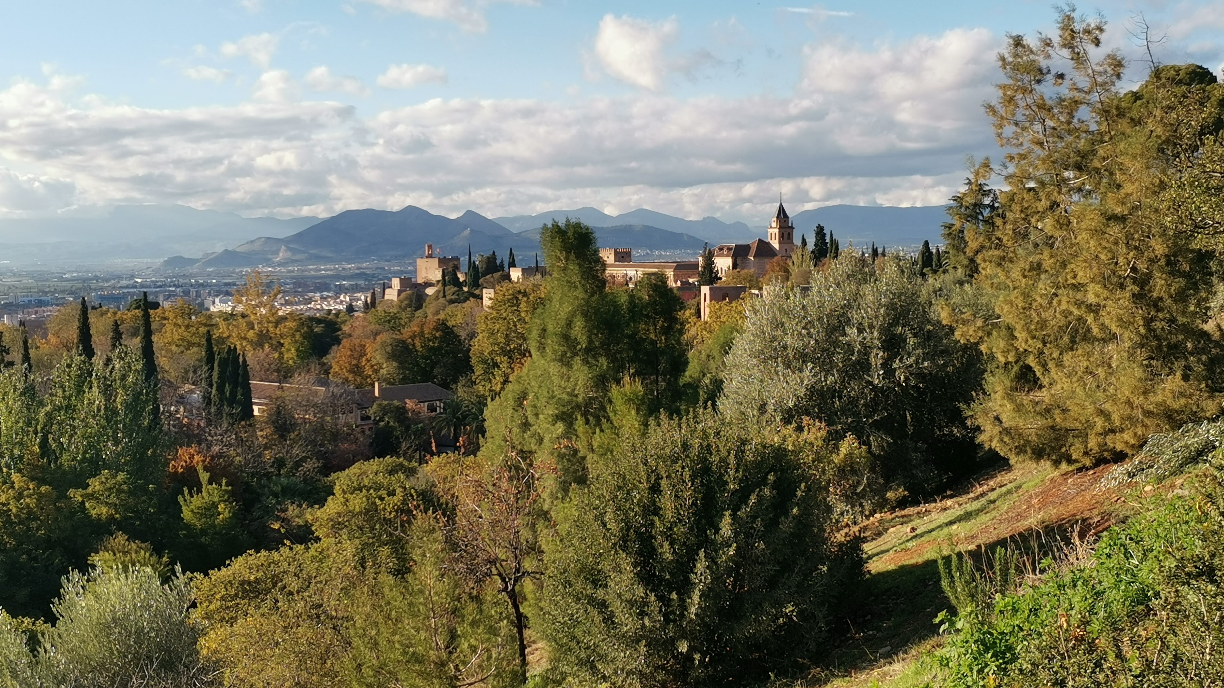 View on the Alhambra from the Carmen de los Mártires park in Granada, Spain