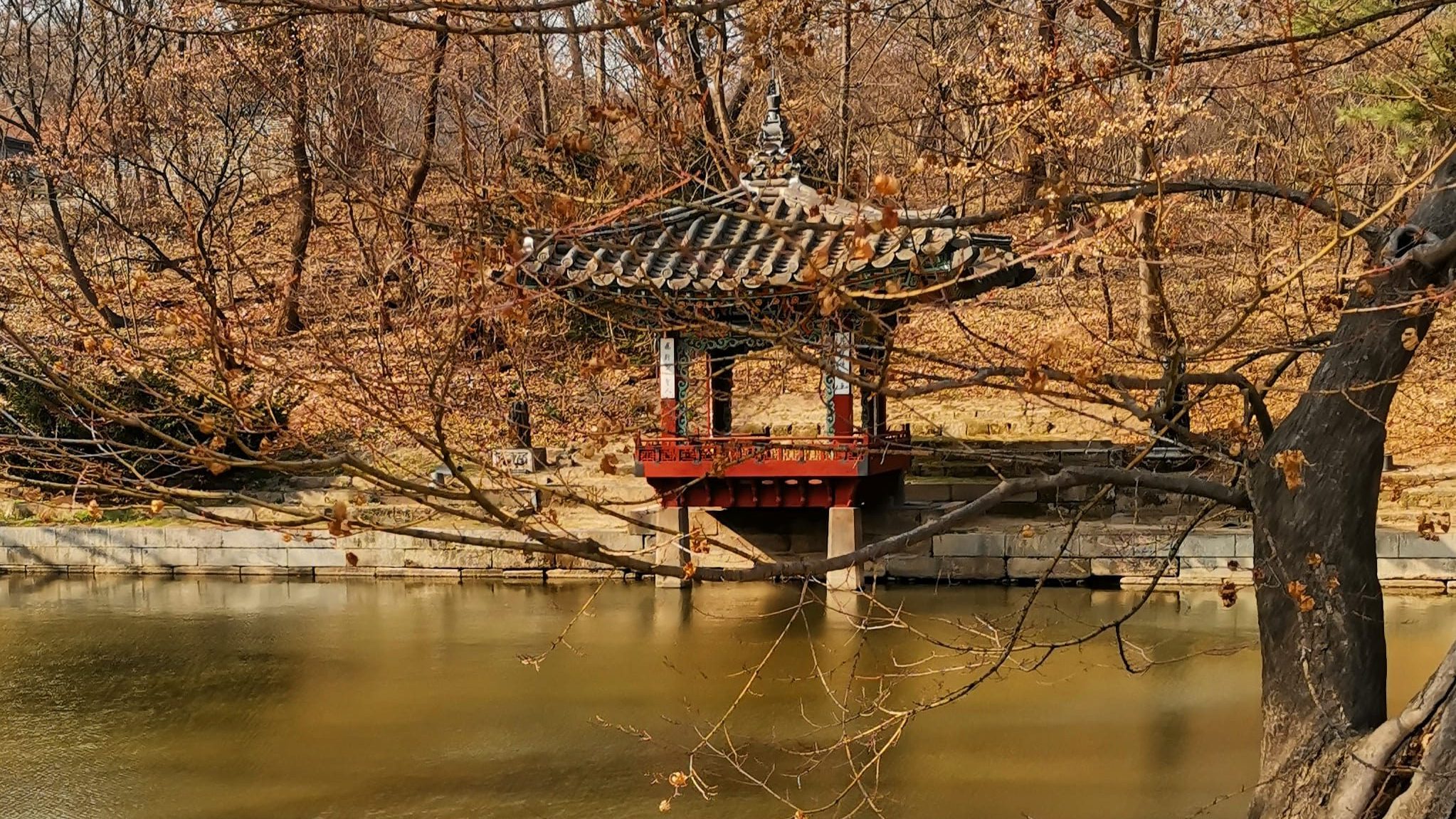 Secret garden of Changdeokgung Palace, Seoul, South Korea