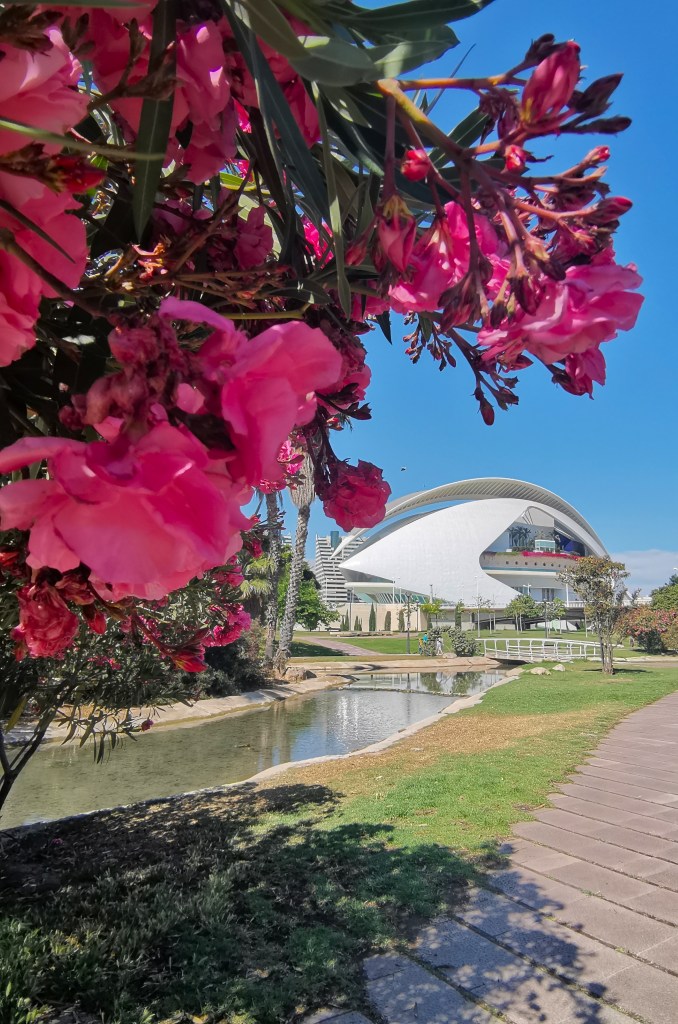 View on the Palau de les Arts in the Turia Garden in Valencia